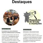 Instituto Igarapé em Números 2022 Notícias